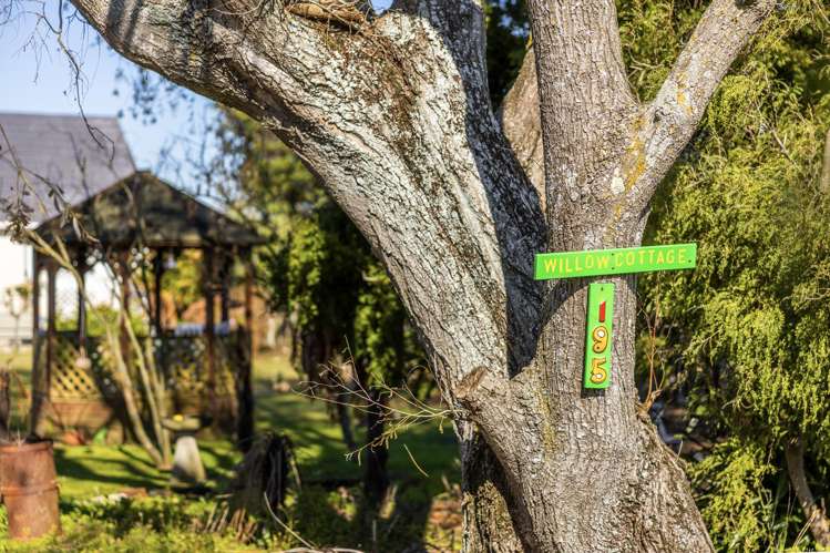 195 High Street Bulls_21