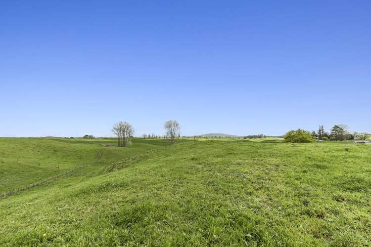 557 Wiltsdown Road_5