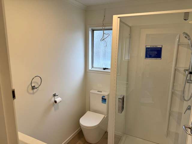 1C Cameron Road Hamilton East_3