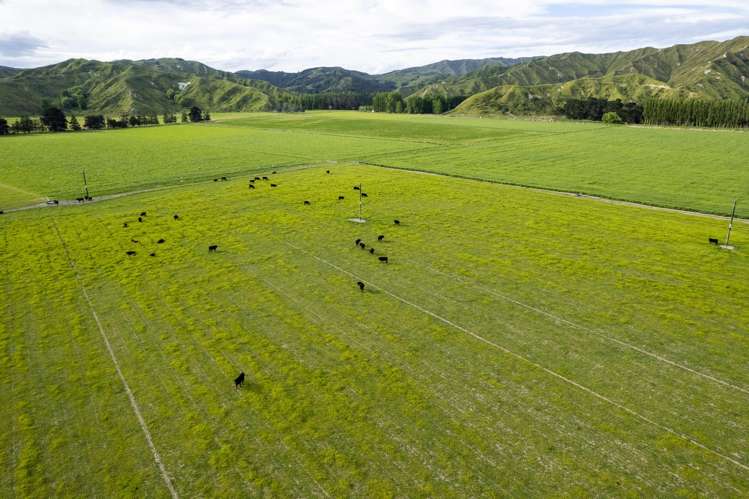 2225 State Highway 2 Whakaki_9