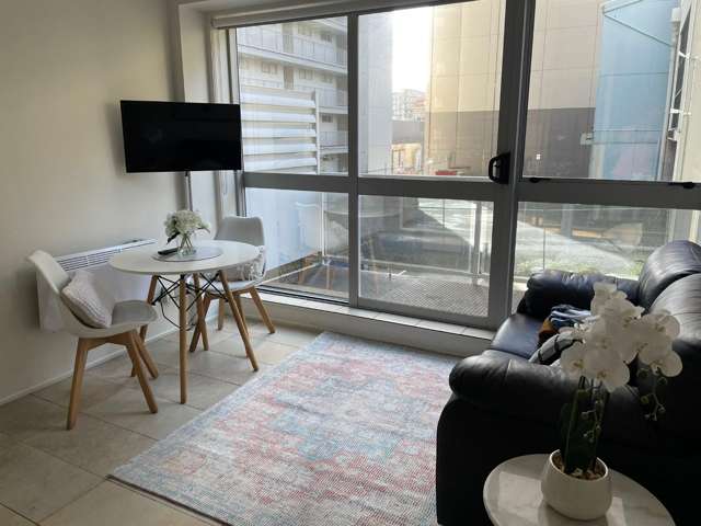 Fully furnished Harvard Apartment with Balcony!