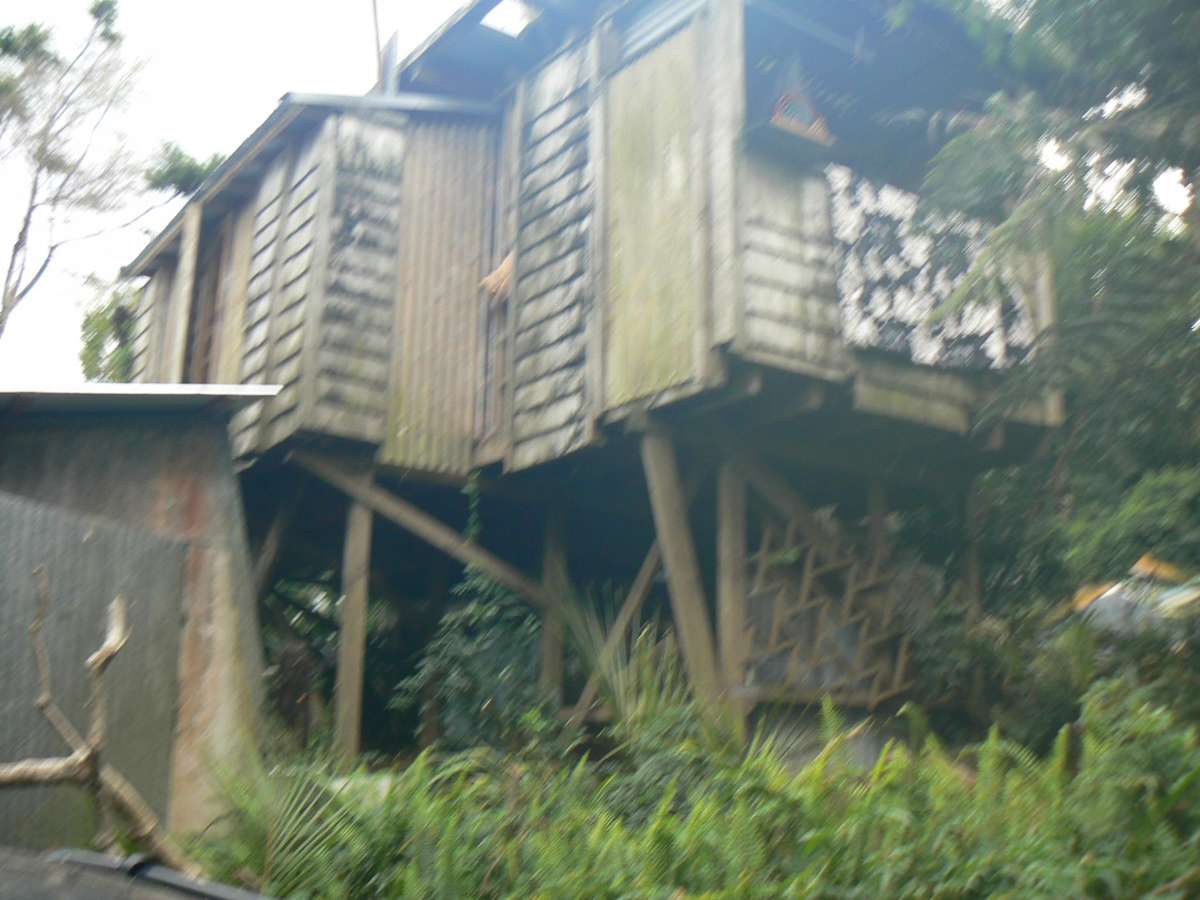 340 Duddy Road_2