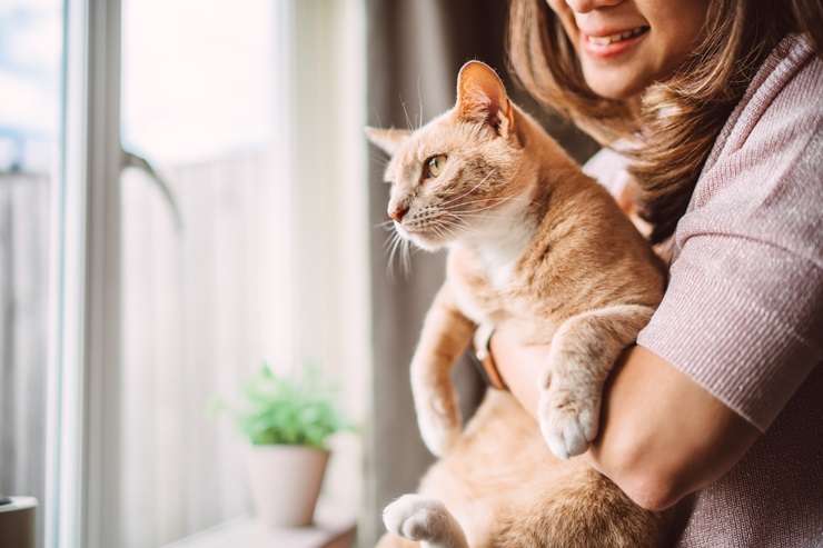 More tenants should be allowed pets in their rental properties from December 1. Photo / Supplied
