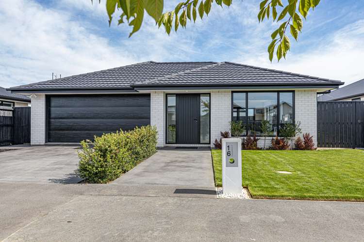 16 Letitia Street Burwood_12