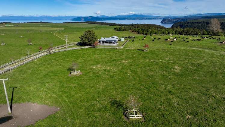 550 Puketapu Road Marotiri_5