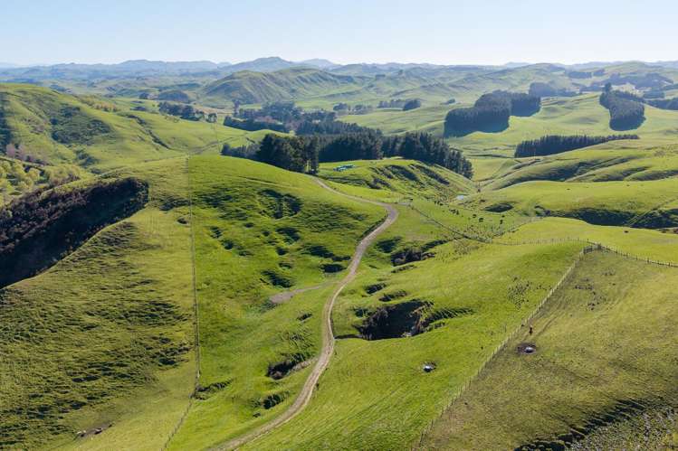 467 Waitahora Valley Road Dannevirke_10