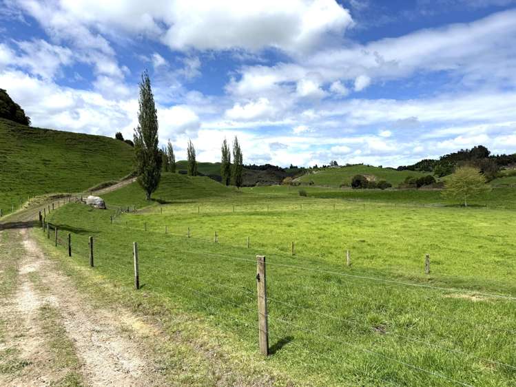 141 Puketirau Road Tirau_7