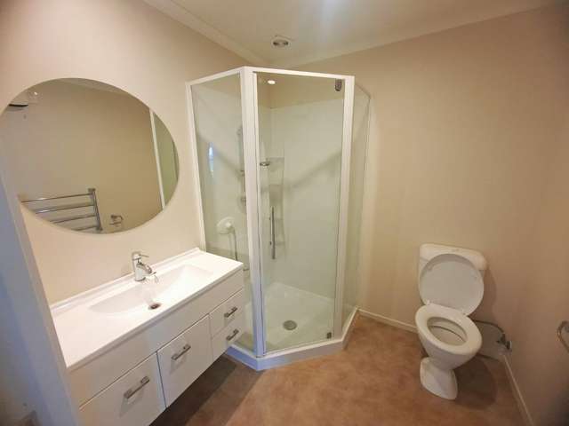 17b Maitland Road 1067_3