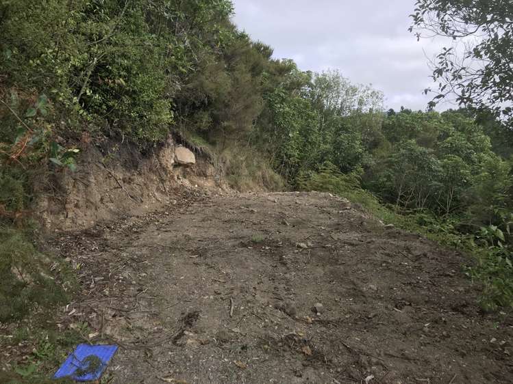 8 Ngapera Way Omori_5