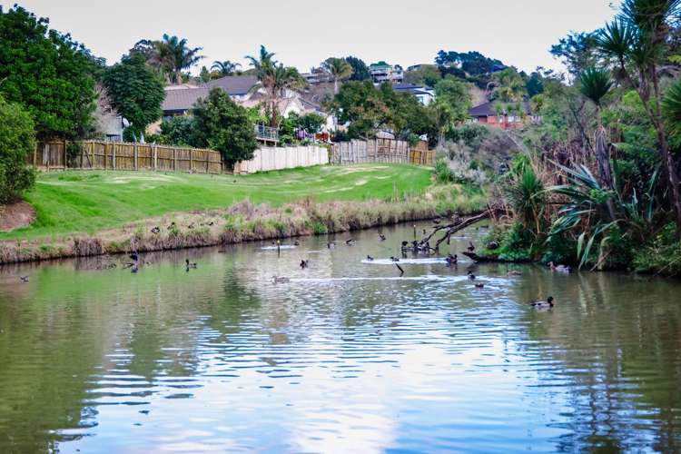 38b Caversham Drive_0