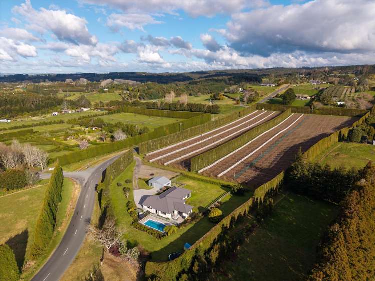 640 Esdaile Road Whakamarama_23