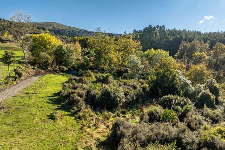 315 Leith Valley Road Leith Valley_14