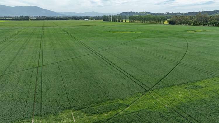 190 Bennetts Road Cust_3