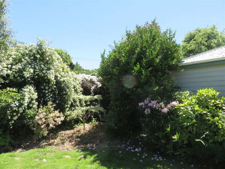 1 Wright Street Geraldine_18