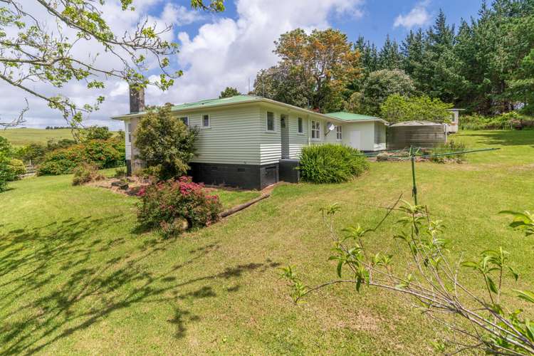 236 Prictor Road Wellsford_22