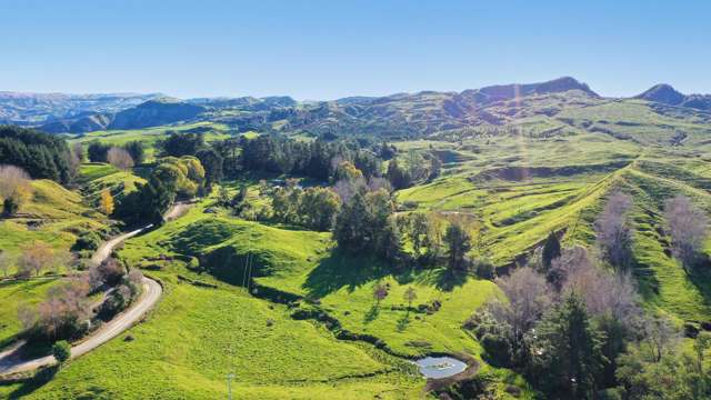 Calf rearing, accommodation, firewood and farming