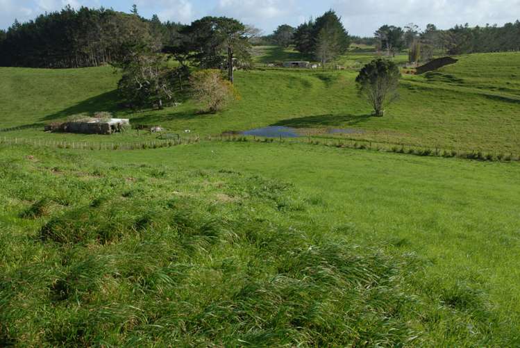 330 West Coast Road Awanui_10