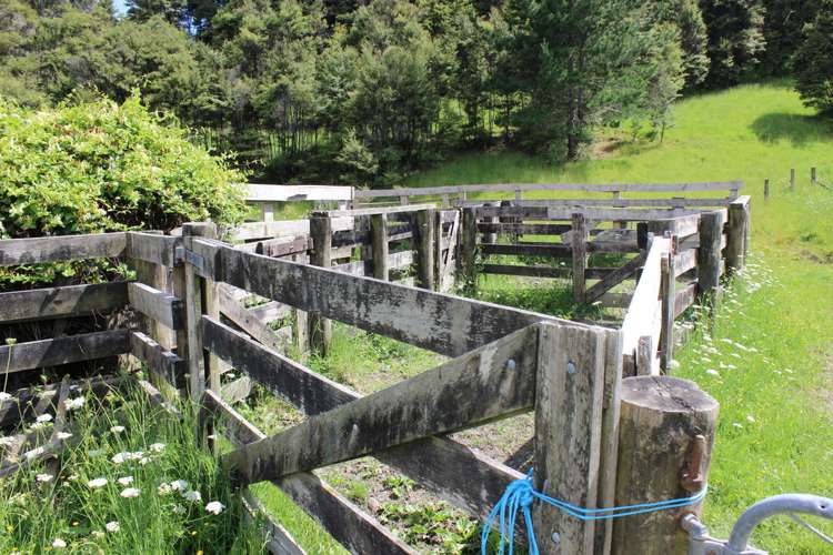 1529 Duncan Road Kaitaia_16