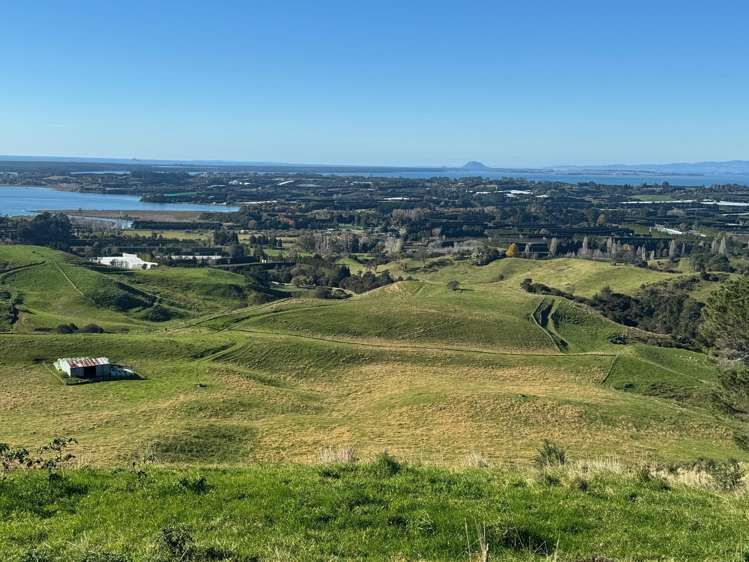 35 Canon Road Katikati_14