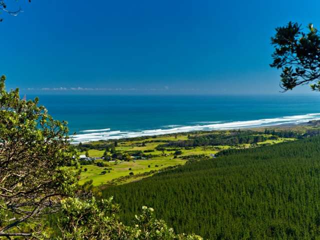 107 Oaia Road Muriwai_1