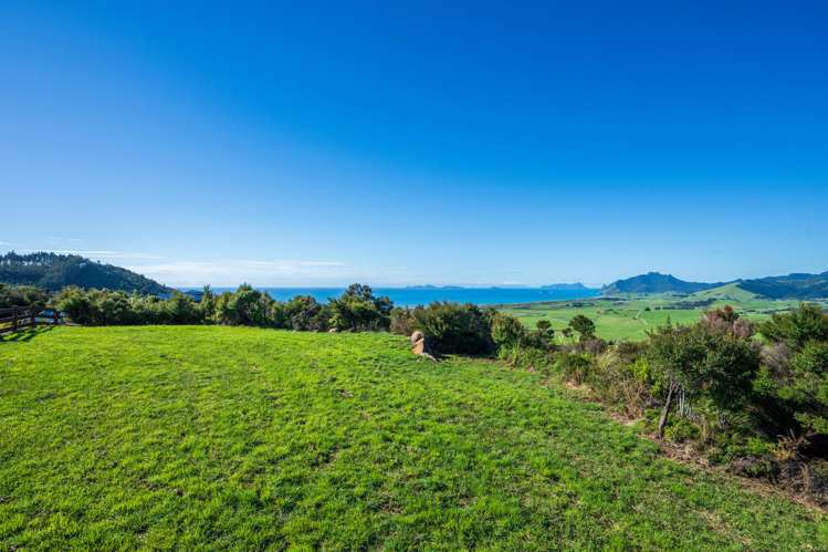 65 Rarangi Heights Parua Bay_8