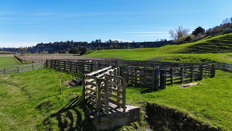208 Otara Road Ohingaiti_5