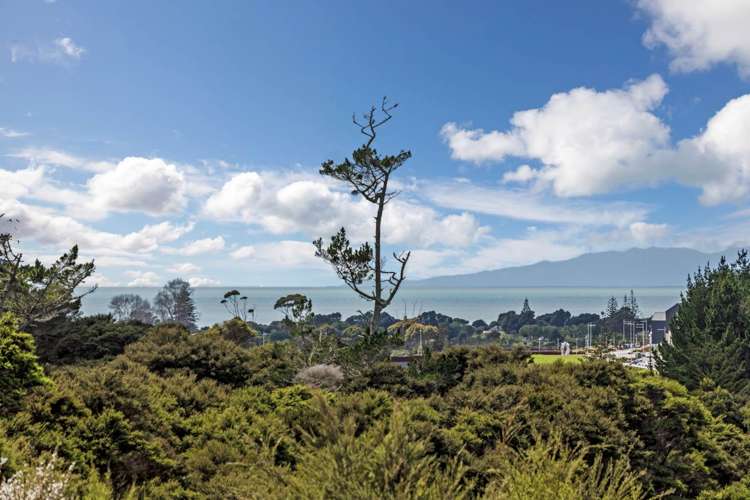 82 Vaughans Road Long Bay_19