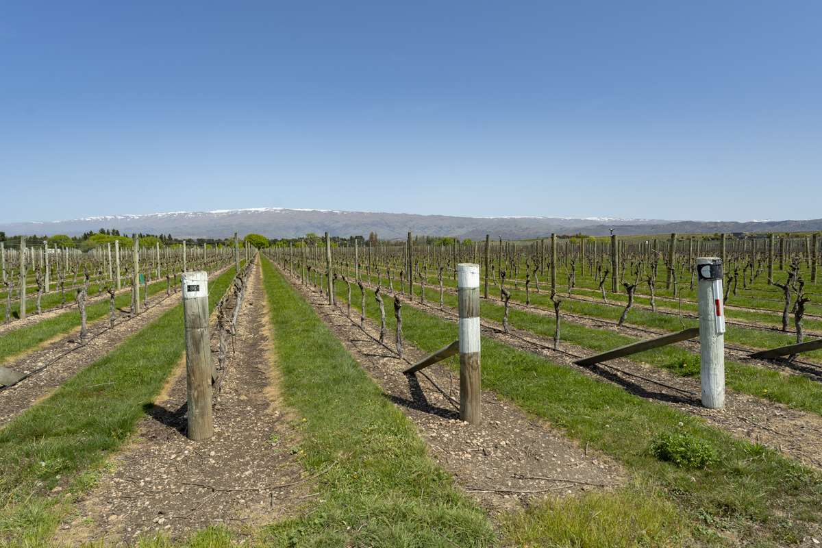 Lot 40 McArthur Road, Mount Dunstan Estates_4
