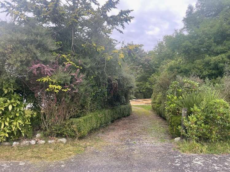 67 Main Road Hari Hari_1