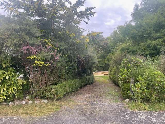 67 Main Road Hari Hari_1