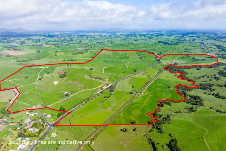 2682 State Highway 1 Brynderwyn_4