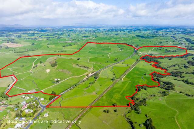 2682 State Highway 1 Brynderwyn_4