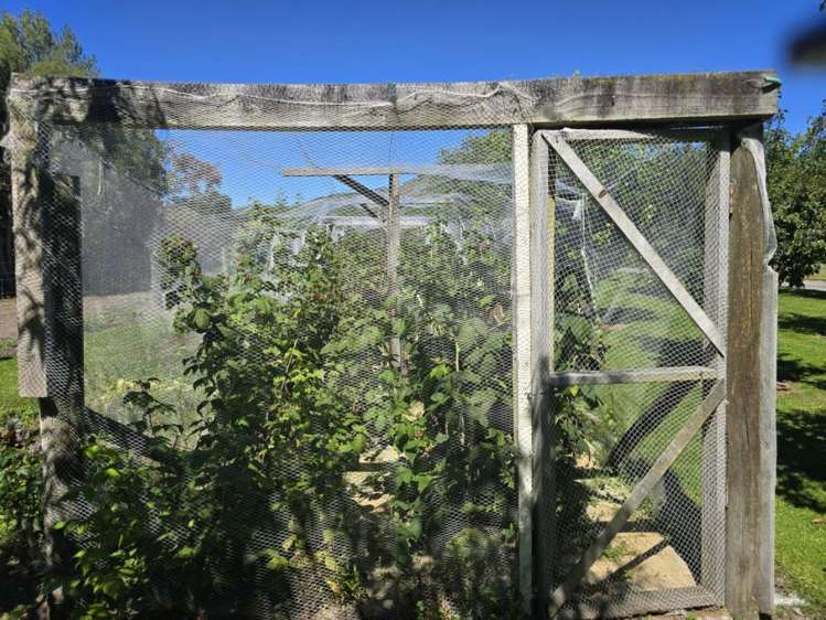 871 Inland Kaikoura Road Inland Road_29