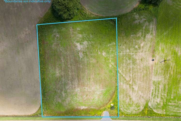 219 Candy Road Pokuru_8