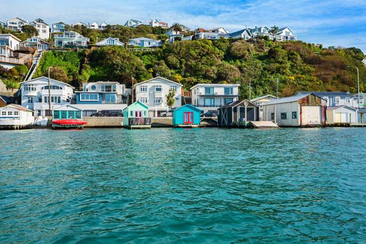 141 Evans Bay Parade Hataitai_14