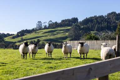 1331 Whangaripo Valley Road_3