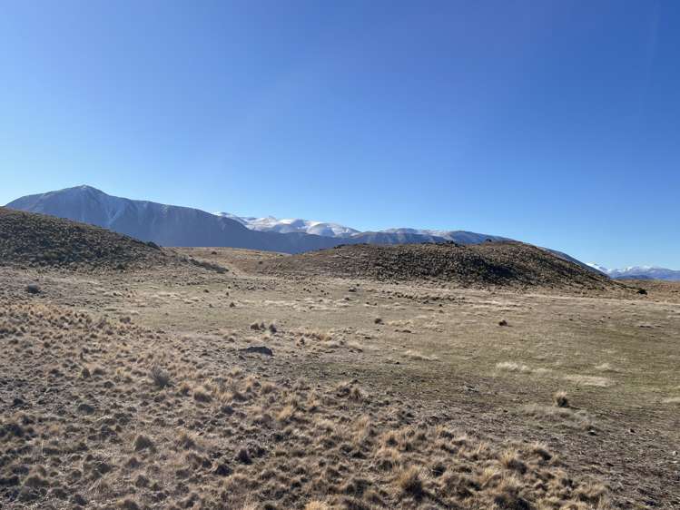 Lot 2 The Wilderness Block, Ohau Downs Station Lake Ohau_11