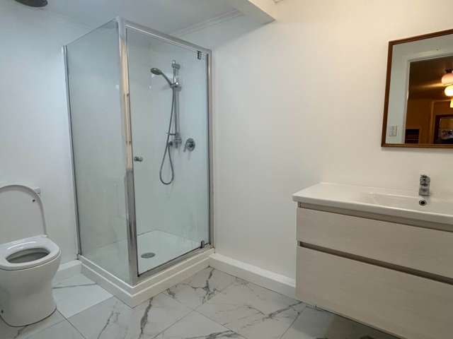 1/7 Agathis Avenue Mairangi Bay_3