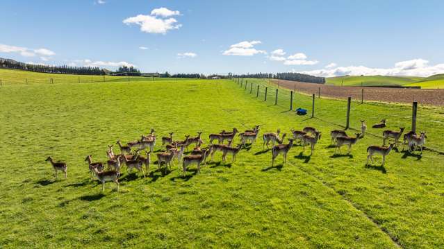 44 Limeworks Road Waikari_4