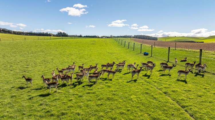 44 Limeworks Road Waikari_4