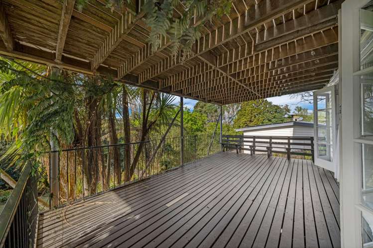 52 Carlton Street Hillsborough_43