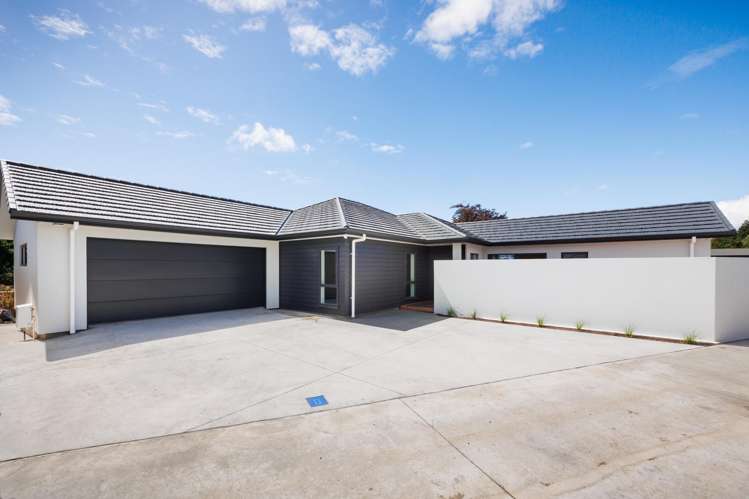 238B Park Road Hokowhitu_25