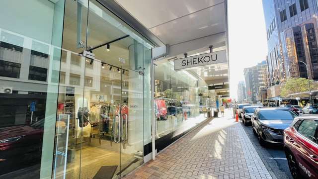 196 Featherston Street Wellington Central_2