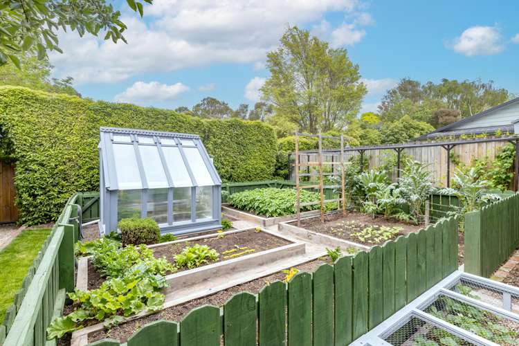 373 Ellesmere Junction Road Springston_26