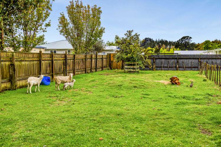 43 Maire Street Inglewood_31