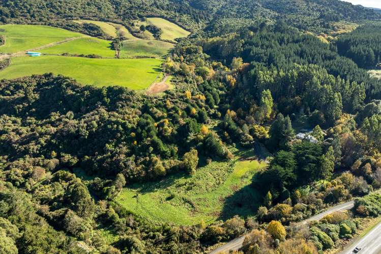 315 Leith Valley Road Leith Valley_19