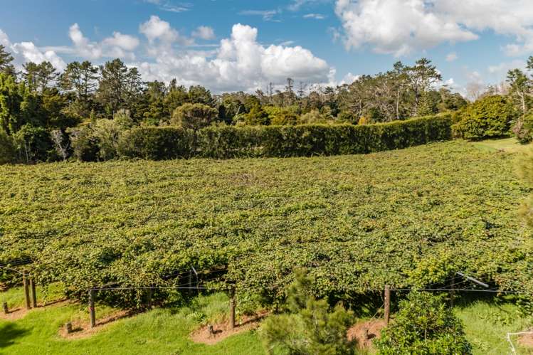 12 Jennings Road Kerikeri Surrounds_34