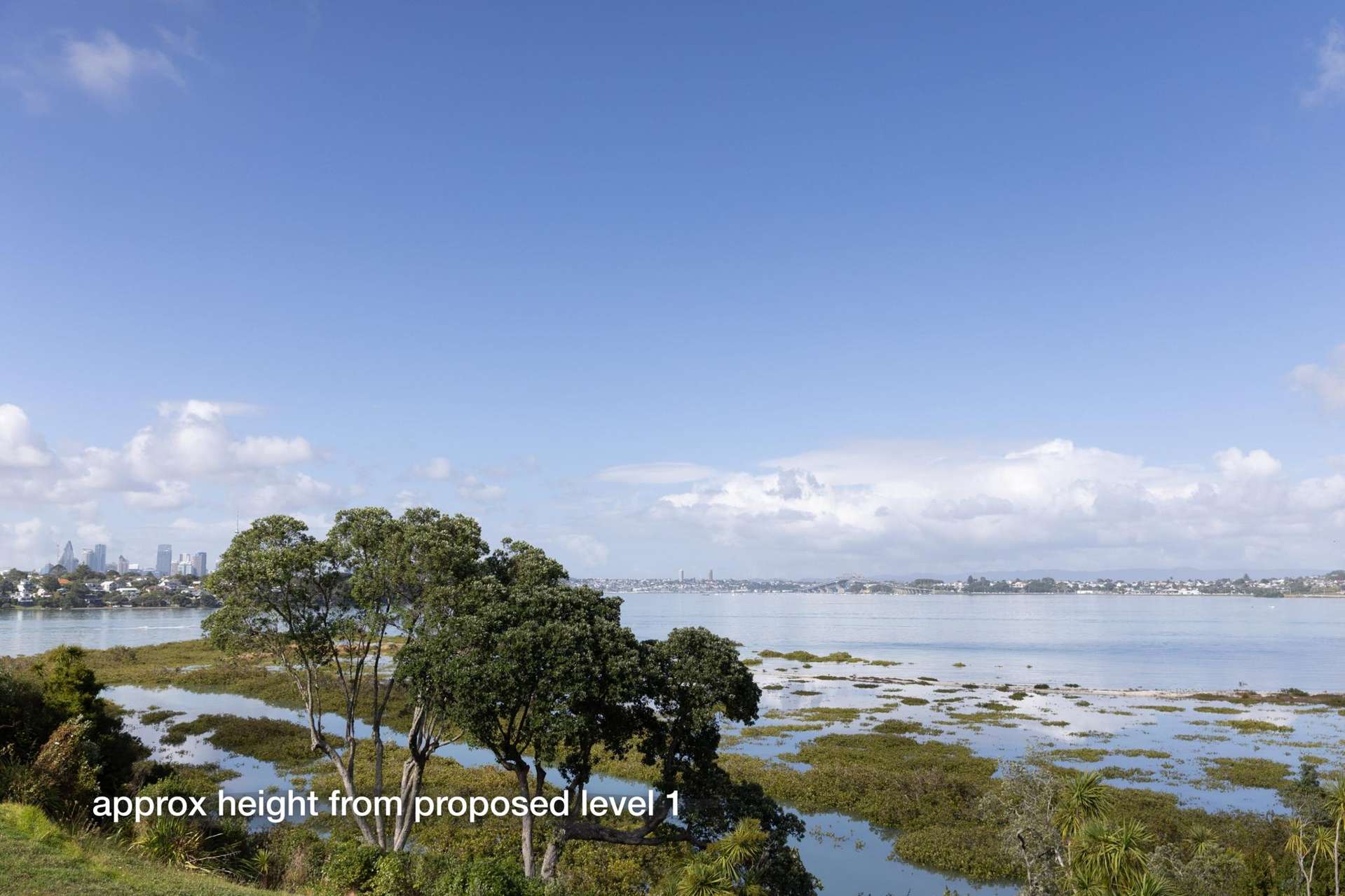 6A Pine Ridge Terrace Hauraki_0