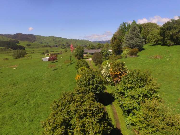 5506 State Highway 4 Waimiha-Ongarue_9