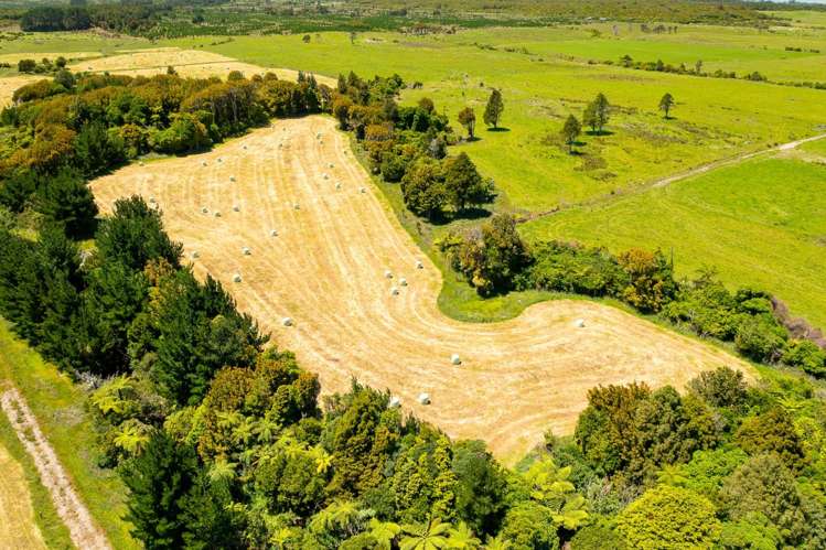 398 Wiremu Road Te Kiri_12